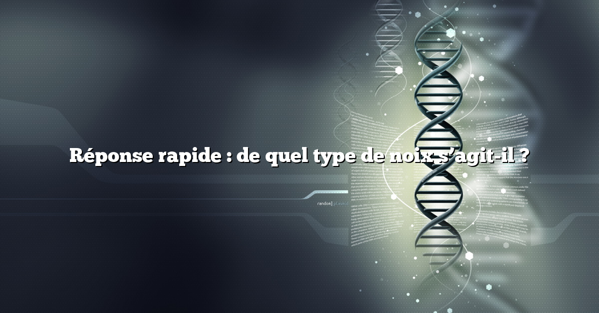 Réponse rapide : de quel type de noix s’agit-il ?